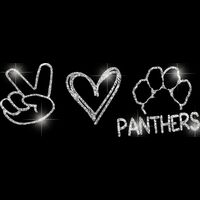 GLT86 SILVER GLITTER Thumbnail